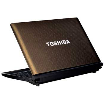 Toshiba netbook windows 10
